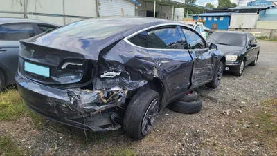 2020 Tesla Model 3 5YJ3E1EB9LF725407 VIN:5YJ3E1EB9LF725407