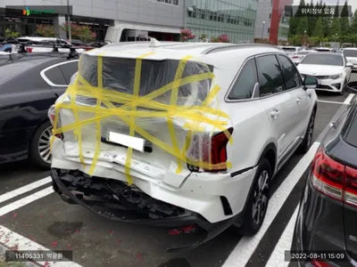 2021 Kia Sorento KNARM81FGNA124977 VIN:KNARM81FGNA124977