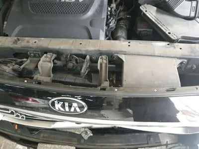 2016 Kia Carnival KNAME81ABGS231428 VIN:KNAME81ABGS231428