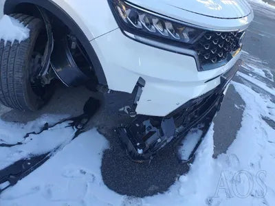 2020 Kia Sorento KNARK81GBMA006789 VIN:KNARK81GBMA006789