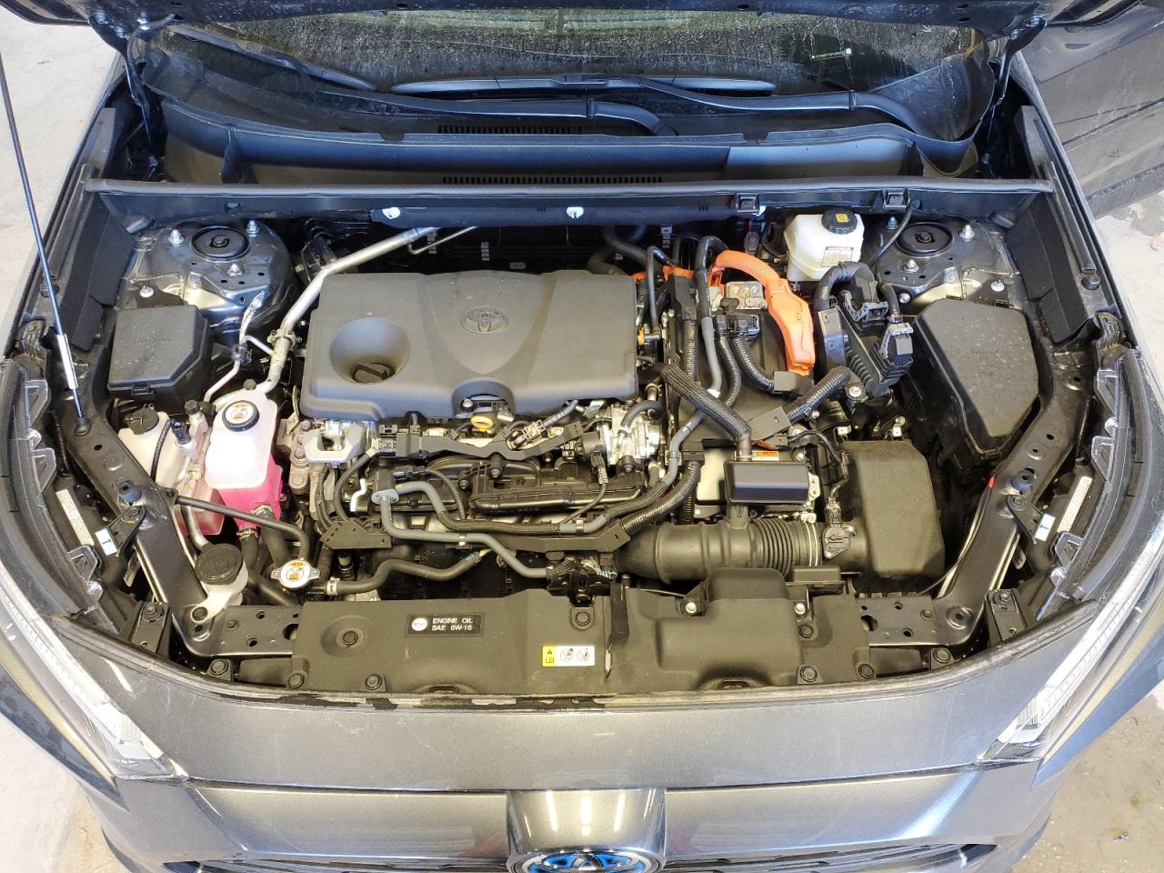 2023 TOYOTA RAV4 XLE VIN:4T3RWRFV9PU089070