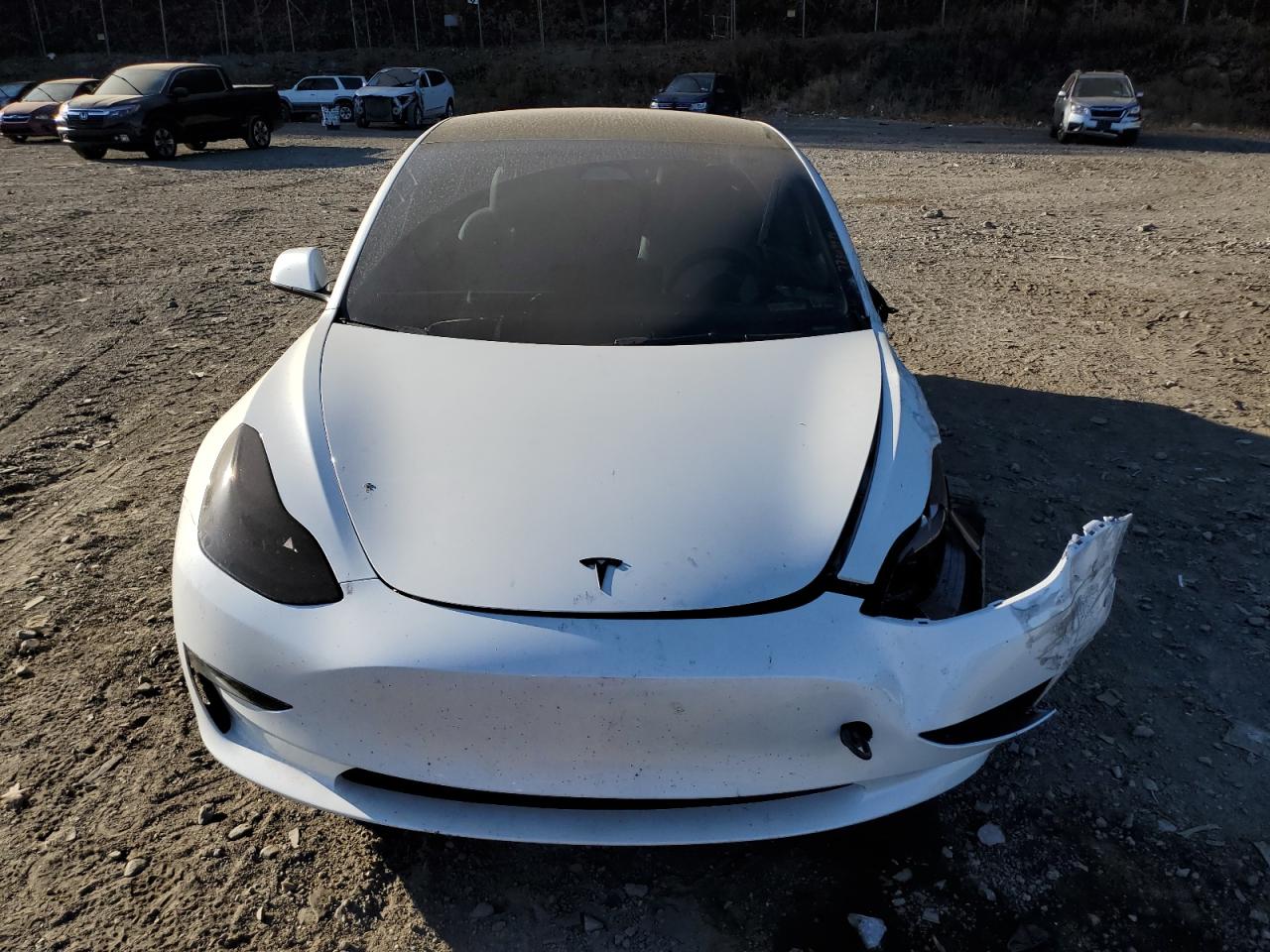 2023 TESLA MODEL 3  VIN:5YJ3E1EC9PF585681