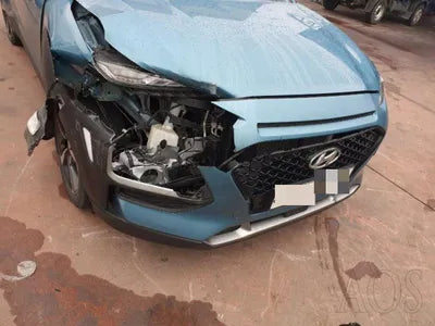 2018 Hyundai Kona KMHK4815HJU173960 VIN:KMHK4815HJU173960
