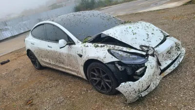2021 Tesla Model 3 VIN: