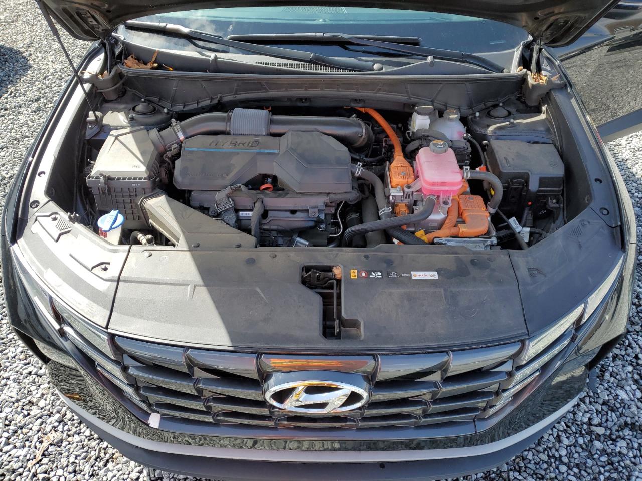 2023 HYUNDAI TUCSON SEL CONVENIENCE VIN:KM8JFCA11PU105317