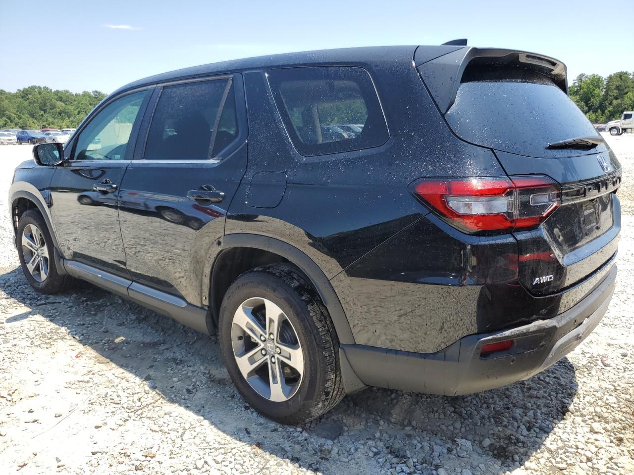 2023 HONDA PILOT EXL VIN:5FNYG1H59PB018691