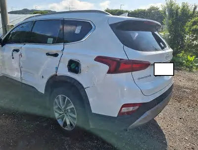 2019 Hyundai Santa FE KMHS281CDKU096955 VIN:KMHS281CDKU096955