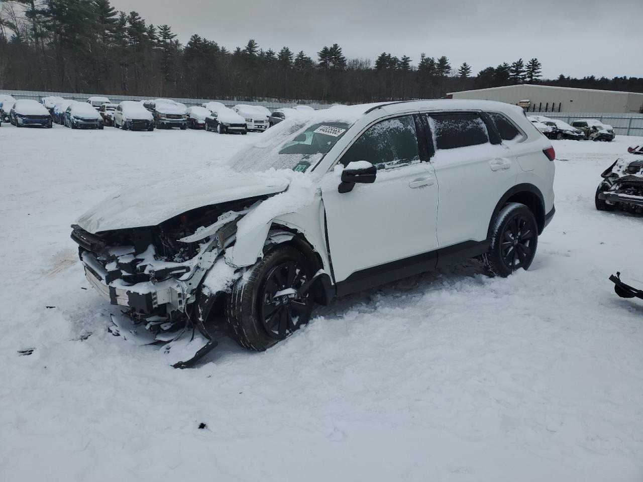 2023 HONDA CR-V SPORT TOURING VIN:7FARS6H94PE026981