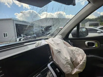 2021 Kia Sorento KNARL81BHMA089925 VIN:KNARL81BHMA089925