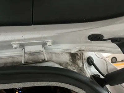 2020 Hyundai Santa FE KMHS381BBLU220961 VIN:KMHS381BBLU220961