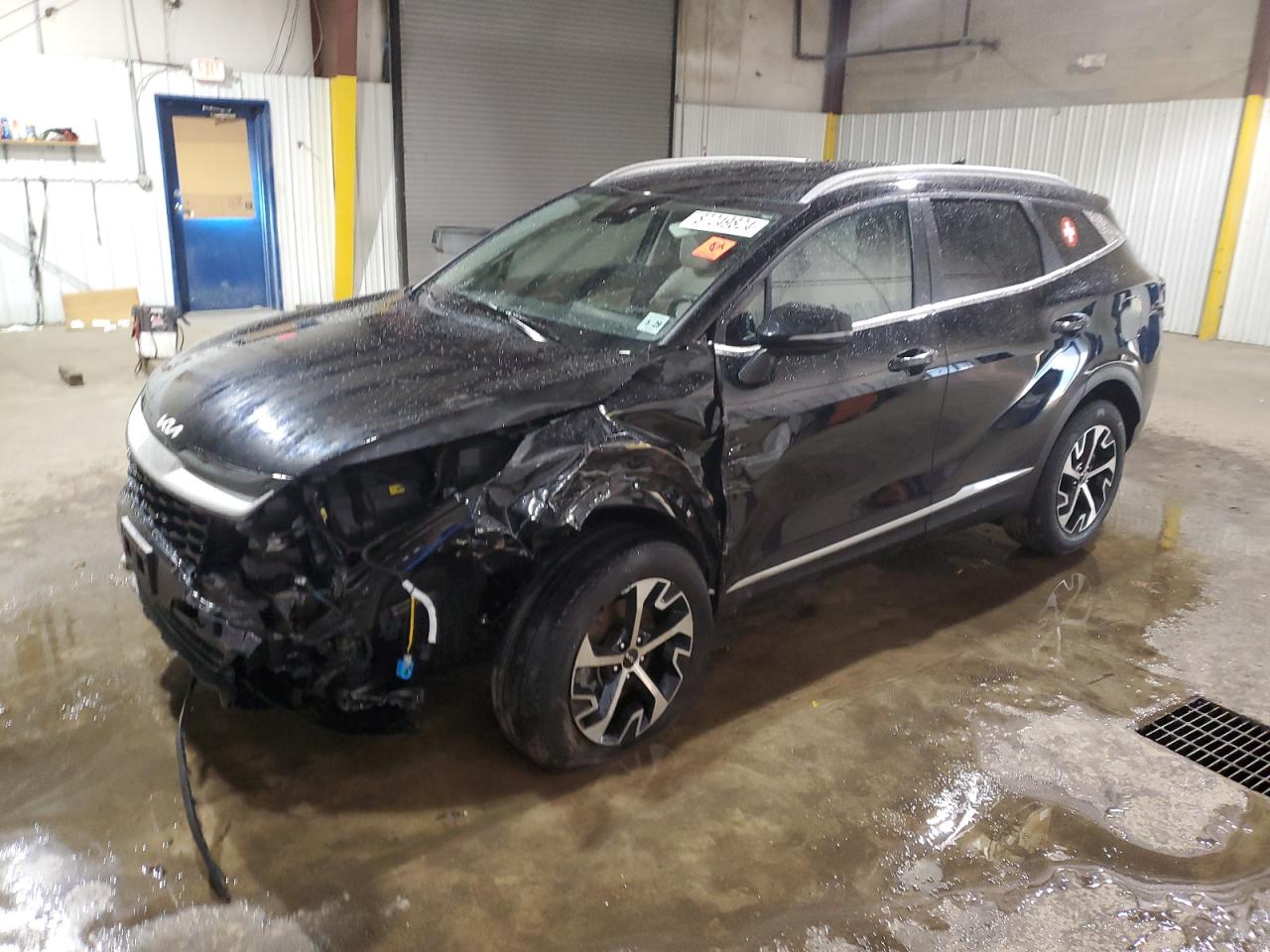 2024 KIA SPORTAGE EX VIN:5XYK3CDF6RG211324