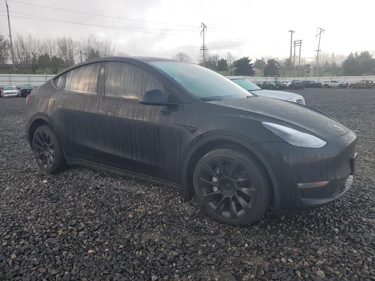 2023 TESLA MODEL Y  VIN:7SAYGDEE7PF811741