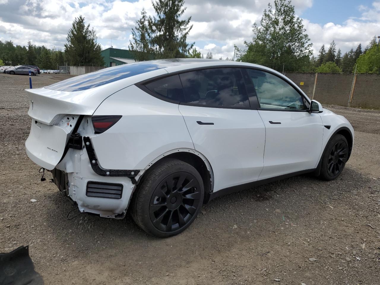 2023 TESLA MODEL Y  VIN:7SAYGDEE0PF676070