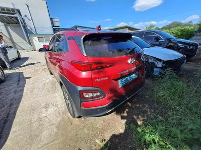 2019 Hyundai Kona KMHK281GFKU008281 VIN:KMHK281GFKU008281