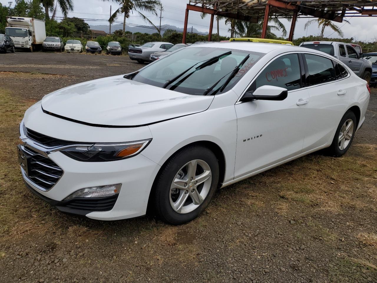 2024 CHEVROLET MALIBU LT VIN:1G1ZD5ST6RF146194