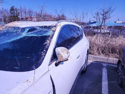 2023 Genesis GV80 VIN: