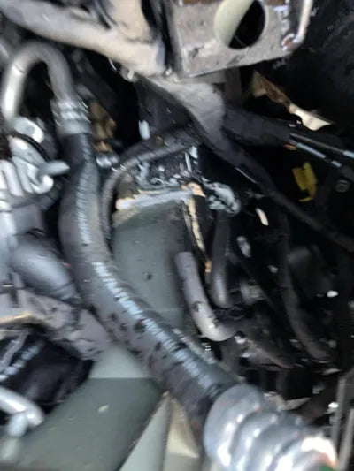 2022 Mercedes-Benz S 350 W1K6F3AB4NA148721 VIN:W1K6F3AB4NA148721