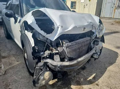 2015 MINI Countryman WMWXD3105FWS98308 VIN:WMWXD3105FWS98308