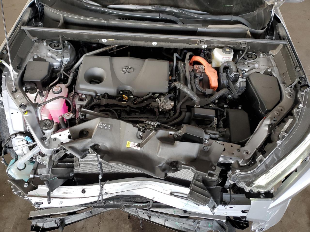 2024 TOYOTA RAV4 XSE VIN:JTME6RFV9RD559404
