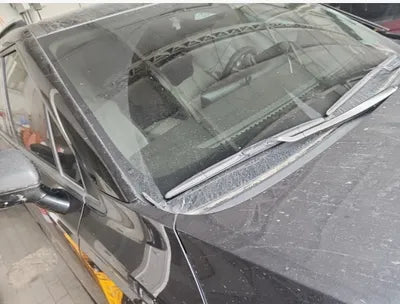 2021 Kia Carnival KNANC81BBMS114679 VIN:KNANC81BBMS114679