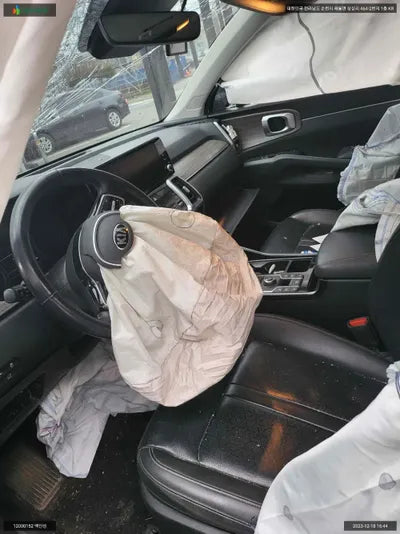 2021 Kia Sorento KNARL81BGMA090580 VIN:KNARL81BGMA090580