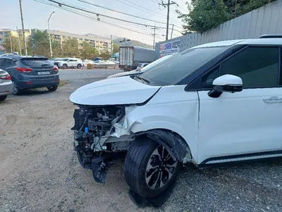 2021 Kia Carnival KNANE813BMS052570 VIN:KNANE813BMS052570