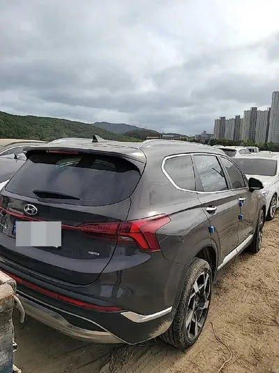 2021 Hyundai Santa FE KMHS381LHMU394906 VIN:KMHS381LHMU394906