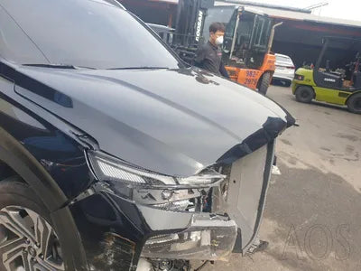 2021 Hyundai Santa FE KMHS281HHMU395114 VIN:KMHS281HHMU395114