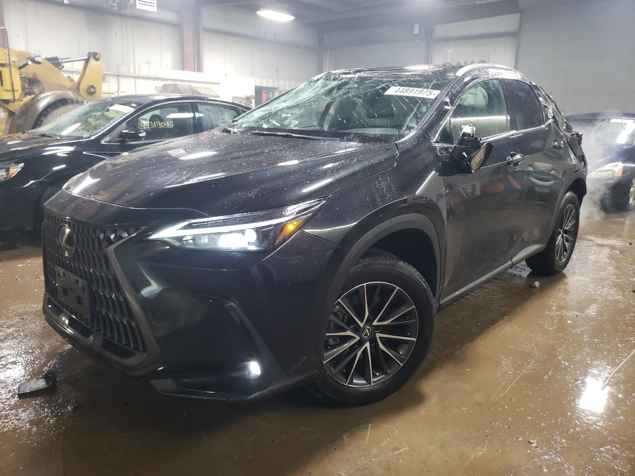 2022 LEXUS NX 250 VIN:2T2ADCAZ4NC002205