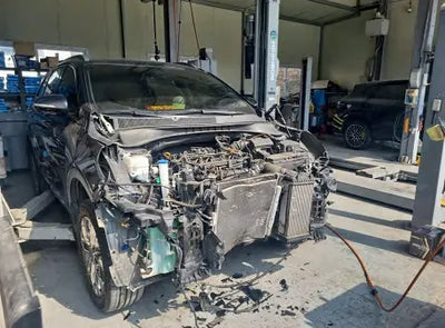2020 Kia Sorento KNAPS81BDLA623830 VIN:KNAPS81BDLA623830