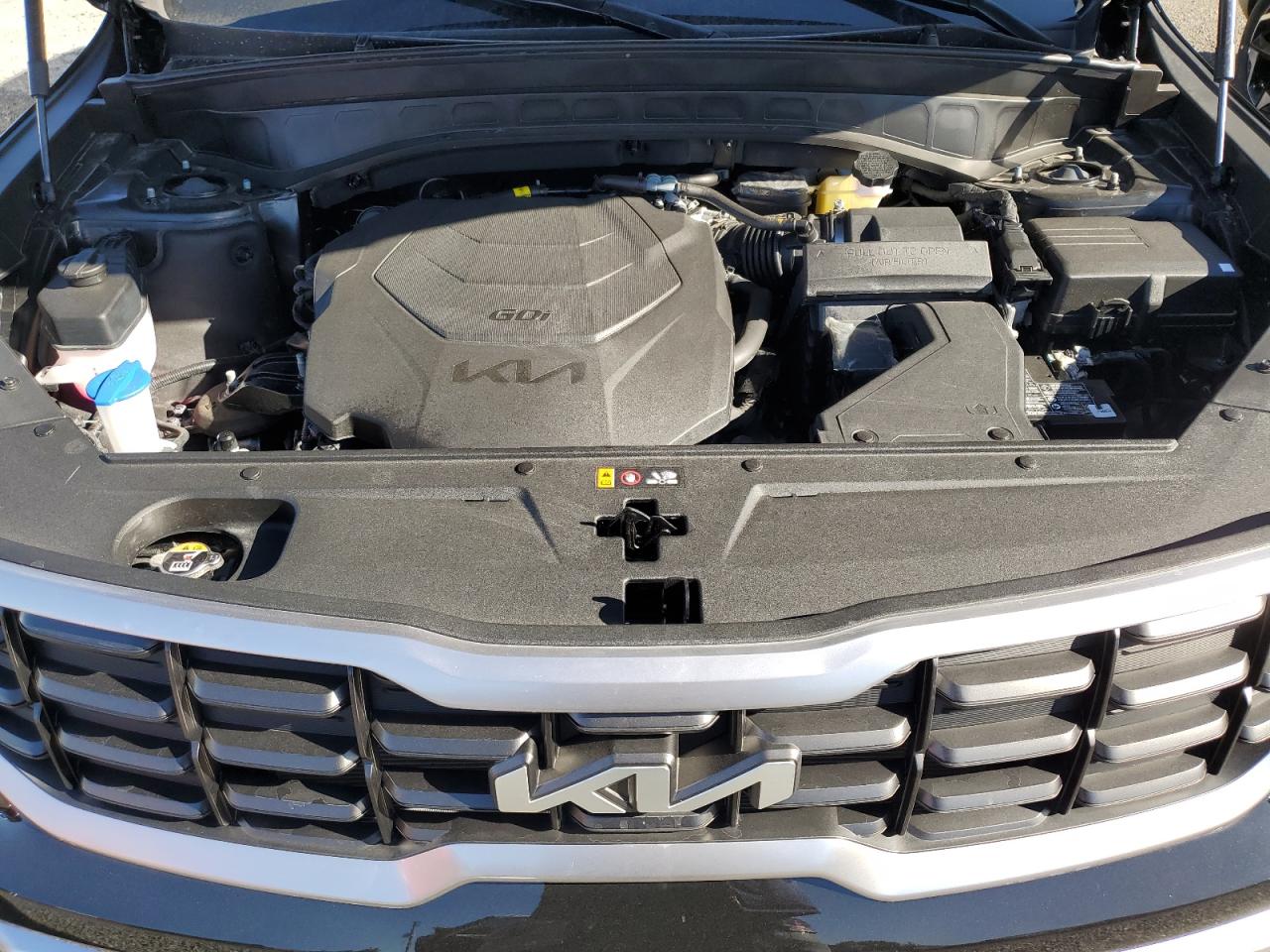 2024 KIA TELLURIDE S VIN:5XYP64GC0RG550620