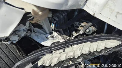 2021 Hyundai Kona KMHK3813GMU806844 VIN:KMHK3813GMU806844