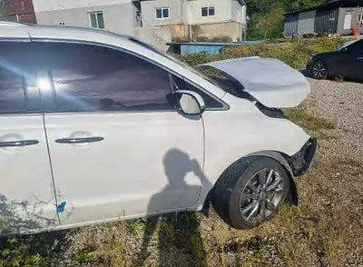 2019 Kia Carnival KNAME81ABKS521855 VIN:KNAME81ABKS521855