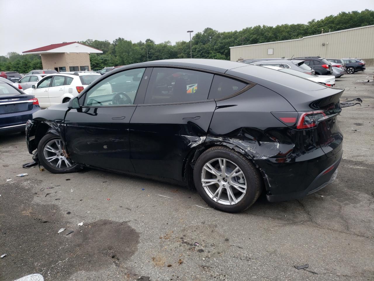 2023 TESLA MODEL Y  VIN:7SAYGDEE2PA184024