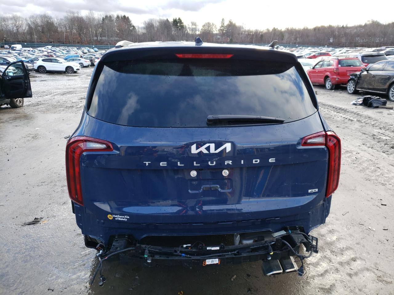 2024 KIA TELLURIDE S VIN:5XYP6DGCXRG458785