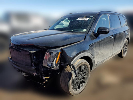 2022 KIA TELLURIDE SX VIN:5XYP5DHC4NG314189