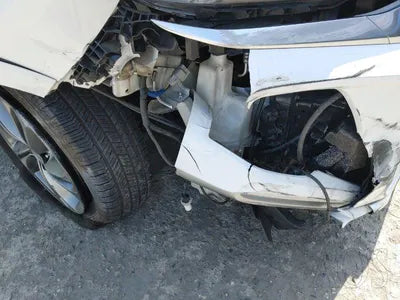 2019 Hyundai Santa FE KMHS581ABLU226176 VIN:KMHS581ABLU226176