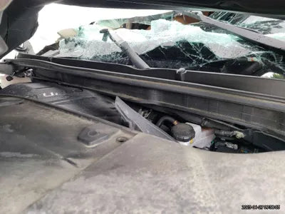 2021 Kia Carnival KNANB81BBMS045022 VIN:KNANB81BBMS045022