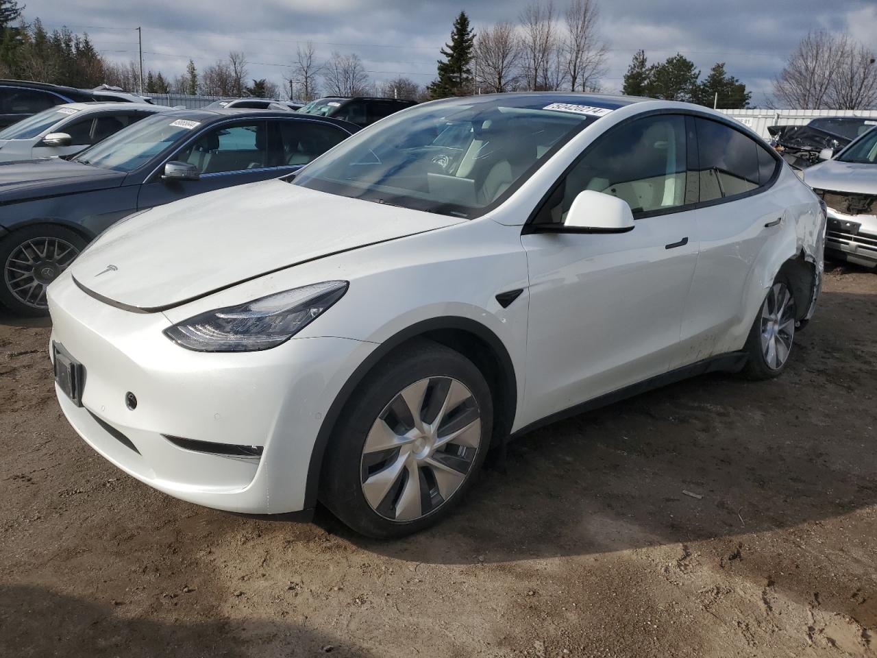 2022 TESLA MODEL Y  VIN:7SAYGDEE6NF358564