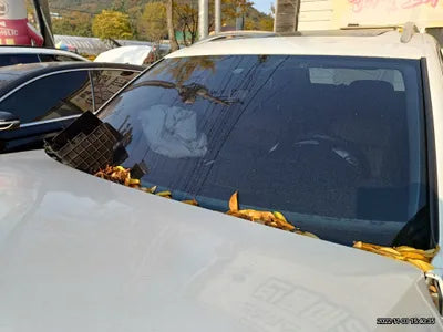 2015 Volkswagen Tiguan 630KMWVGZZZ5NZFW5 VIN:630KMWVGZZZ5NZFW5