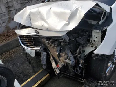 2015 Kia Carnival KNAME81ABFS063007 VIN:KNAME81ABFS063007