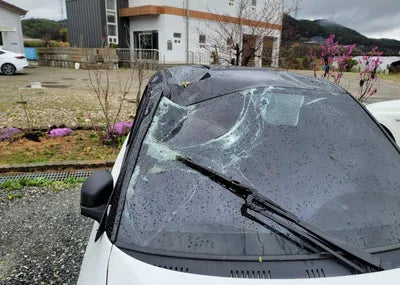 2021 Mercedes-Benz Smart KL90B2Z7EMZD6J655 VIN:KL90B2Z7EMZD6J655