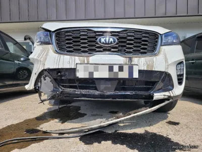 2019 Kia Sorento KNAPH81BBLA564657 VIN:KNAPH81BBLA564657