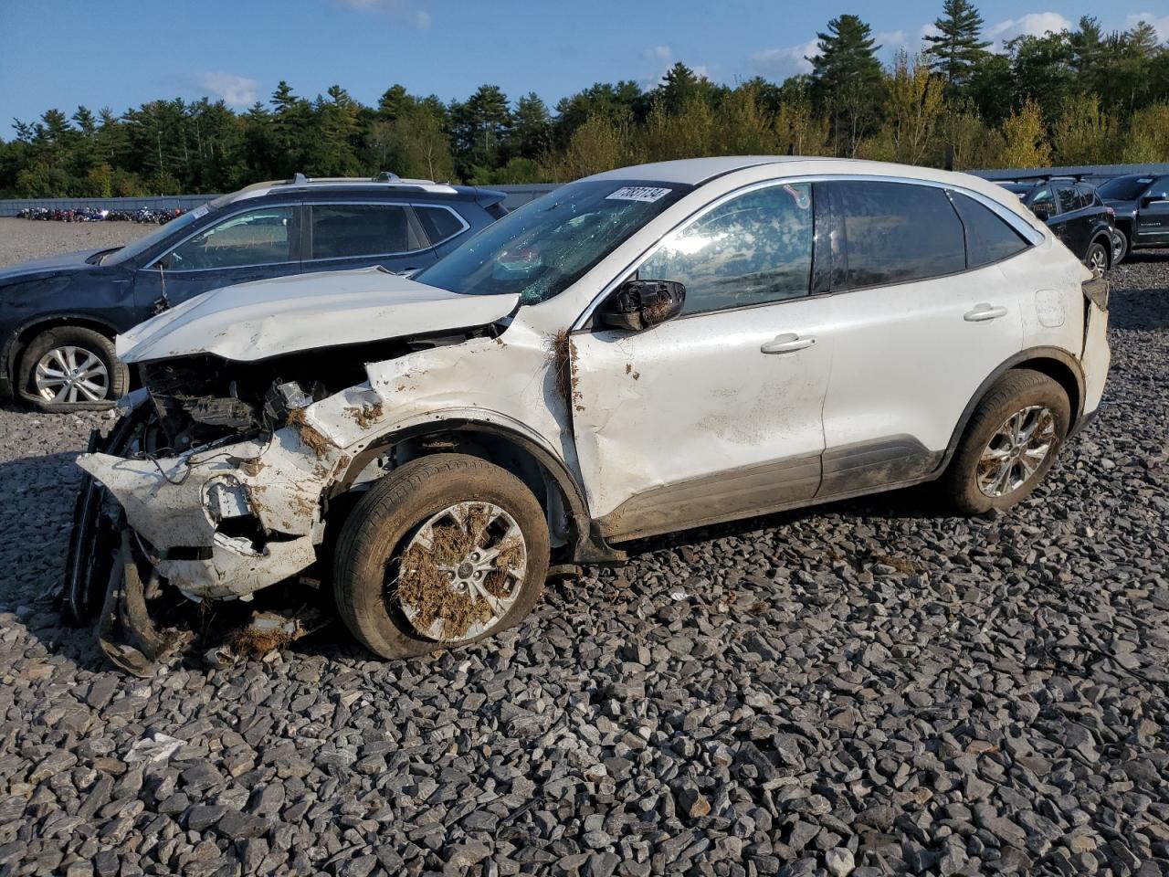 2023 FORD ESCAPE ACTIVE VIN:1FMCU9GN0PUB40829