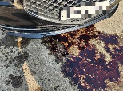 2019 Genesis G90 VIN: