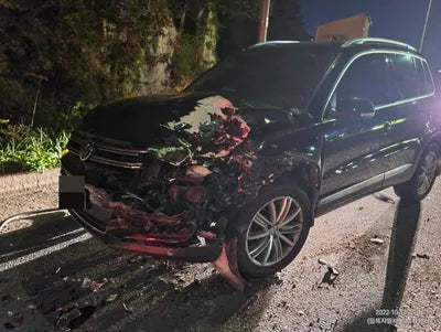 2014 Volkswagen Tiguan VIN:
