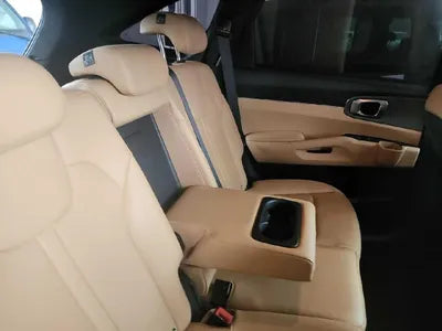 2021 Kia Sorento KNARL81GBMA050631 VIN:KNARL81GBMA050631
