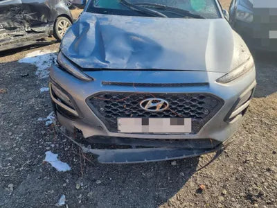 2019 Hyundai Kona KMHK4815GKU303246 VIN:KMHK4815GKU303246
