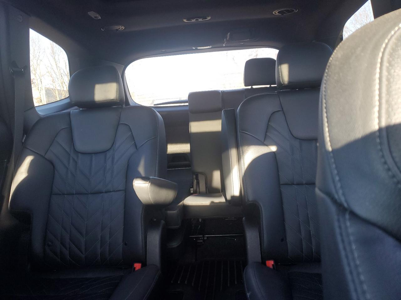 2023 KIA TELLURIDE SX VIN:5XYP5DGC9PG326343