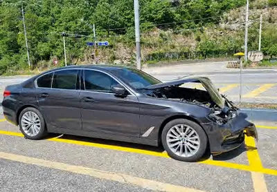 2019 BMW 520 WBAJF3102KWW04519 VIN:WBAJF3102KWW04519